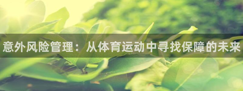 必发官方正版app五金厂：意外风险管理：从体育运动中