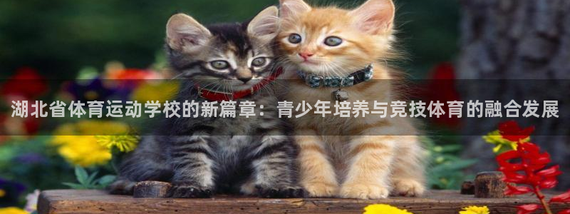 必发官方正版app集团官网首页网址：湖北省体育运动学