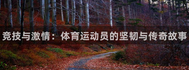 必发官方正版app娱乐首页官网下载：竞技与激情：体育