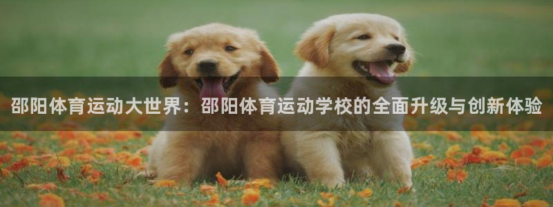 必发官方正版app五金厂：邵阳体育运动大世界：邵阳体