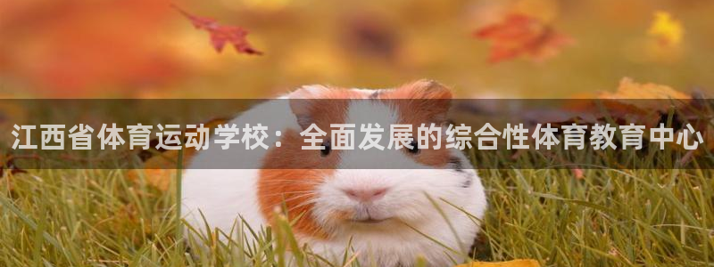 必发官方集团官网：江西省体育运动学校：全面发展的综合