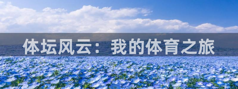 必发官网下载招商电话是多少：体坛风云：我的体育之旅