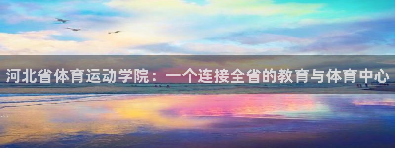 必发官方正版app娱乐代理怎么样：河北省体育运动学院