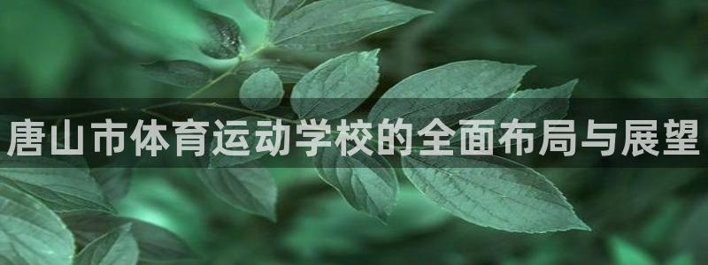 必发官网下载官方客服电话