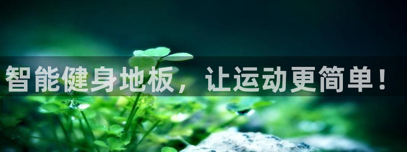 必发官方正版app娱乐平台：智能健身地板，让运动更简单！