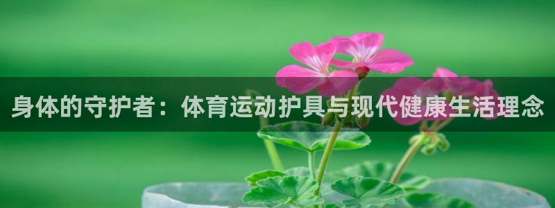 海南必发官网下载：身体的守护者：体育运动护具与现代健