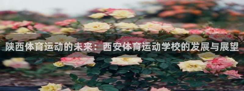 必发官方正版app娱乐是那个系列的台子：陕西体育运动的未来：
