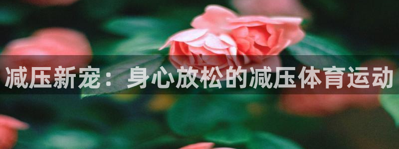 必发官方正版app集团官网首页网址：减压新宠：身心放松的减压