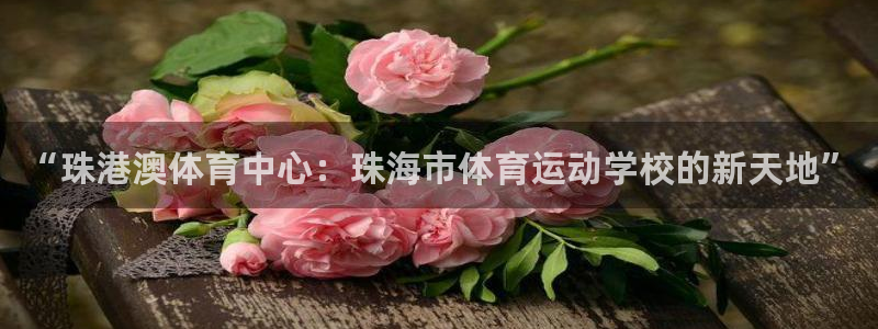 必发官方正版app科技：“珠港澳体育中心：珠海市体育运动学校