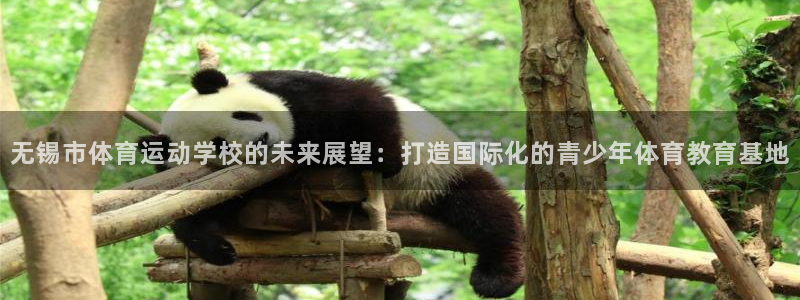 海南必发官网下载：无锡市体育运动学校的未来展望：打造国际化的