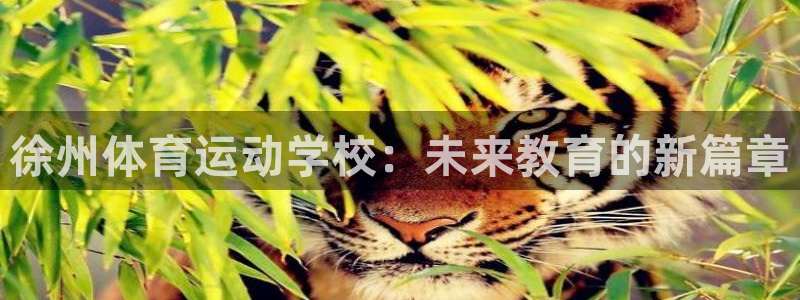 必发官网下载平台注册流程视频：徐州体育运动学校：未来教育的新
