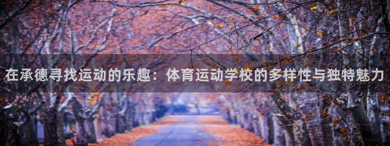 必发官方平台体育：在承德寻找运动的乐趣：体育运动学校的多样性