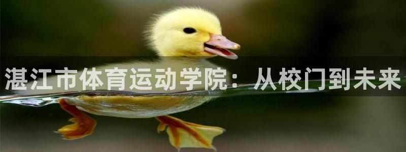 必发官网下载平台：湛江市体育运动学院：从校门到未来