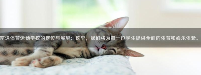 必发官方正版app集团E.ON：南通体育运动学校的定位与展望