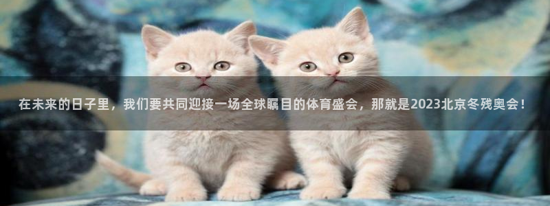 必发官网下载平台注册要钱吗安全吗：在未来的日子里，我们要共同