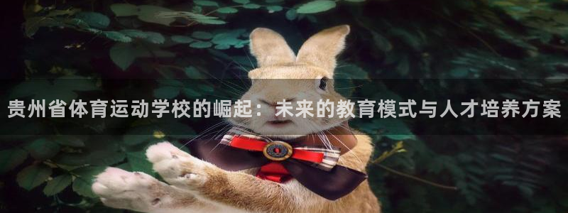 必发官网下载招商电话地址是多少：贵州省体育运动学校的崛起：未