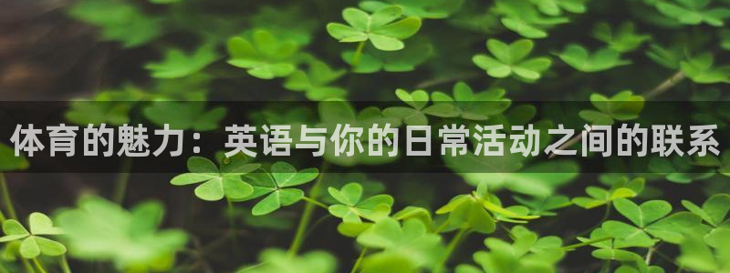 必发官方正版app新能源：体育的魅力：英语与你的日常