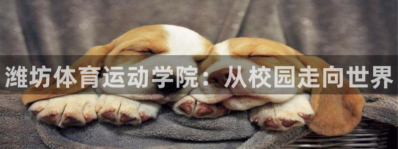 必发官网下载招商电话是多少：潍坊体育运动学院：从校园