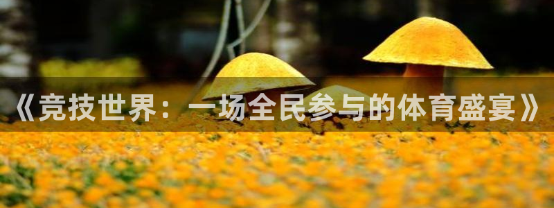 海南必发官网下载