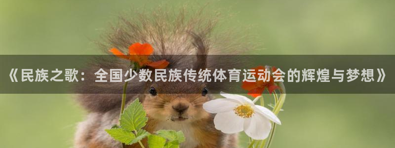 必发官方正版app娱乐