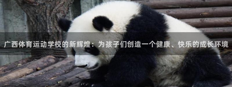 必发官网下载平台注册流程图：广西体育运动学校的新辉煌：为孩子