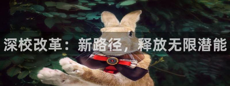 必发官方正版app集团官网首页