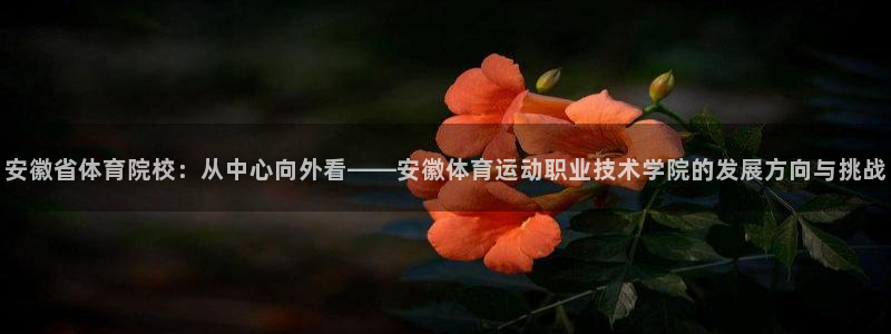 必发官网下载招商电话地址：安徽省体育院校：从中心向外看——安