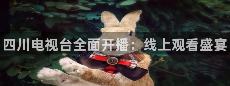 说球帝nba直播在线观看：四川电视台全面开播：线上观看盛宴
