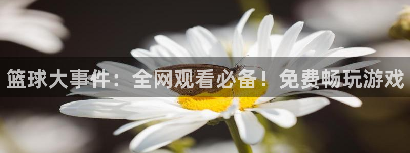 说球帝：篮球大事件：全网观看必备！免费畅玩游戏